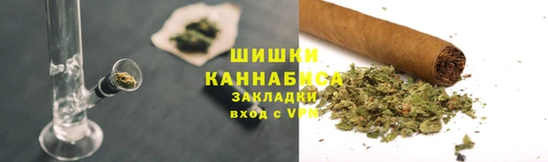 мдпв Верхний Тагил