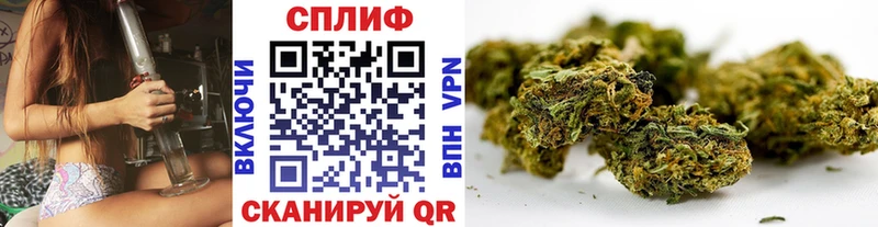 где купить наркоту  Тула  Марихуана планчик 